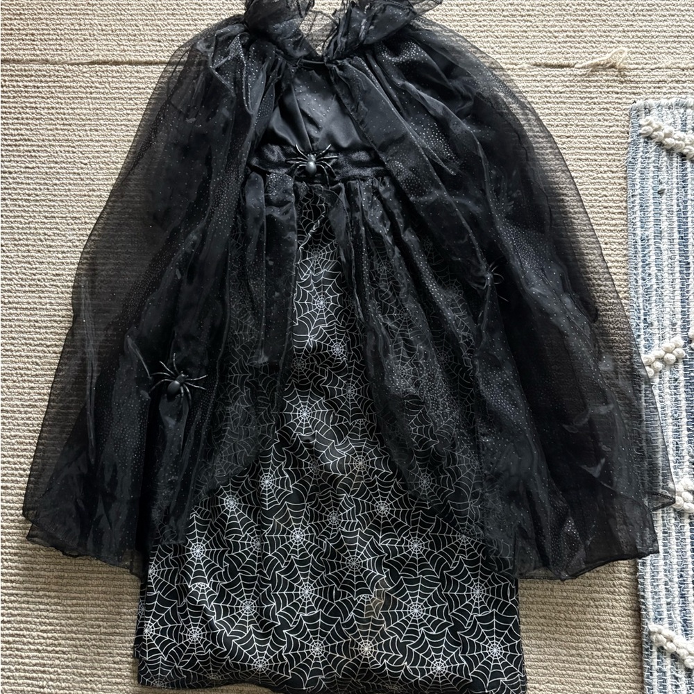 Pottery Barn Kids Black Spiderweb Halloween Costume